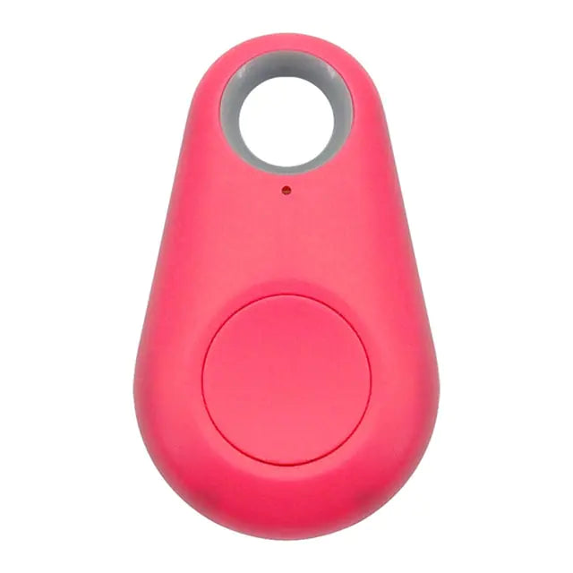 Pet Smart GPS Tracker